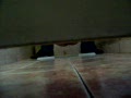 video pic